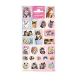 Totum Matrica - Cicák