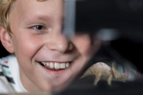 4M Hologram vetítő készlet