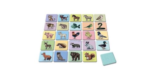 Dino Állatok memóriajáték