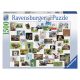 Ravensburger Puzzle 1500 db - Vicces állatok