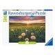 Ravensburger Puzzle 500 db - Pitypang a naplementében